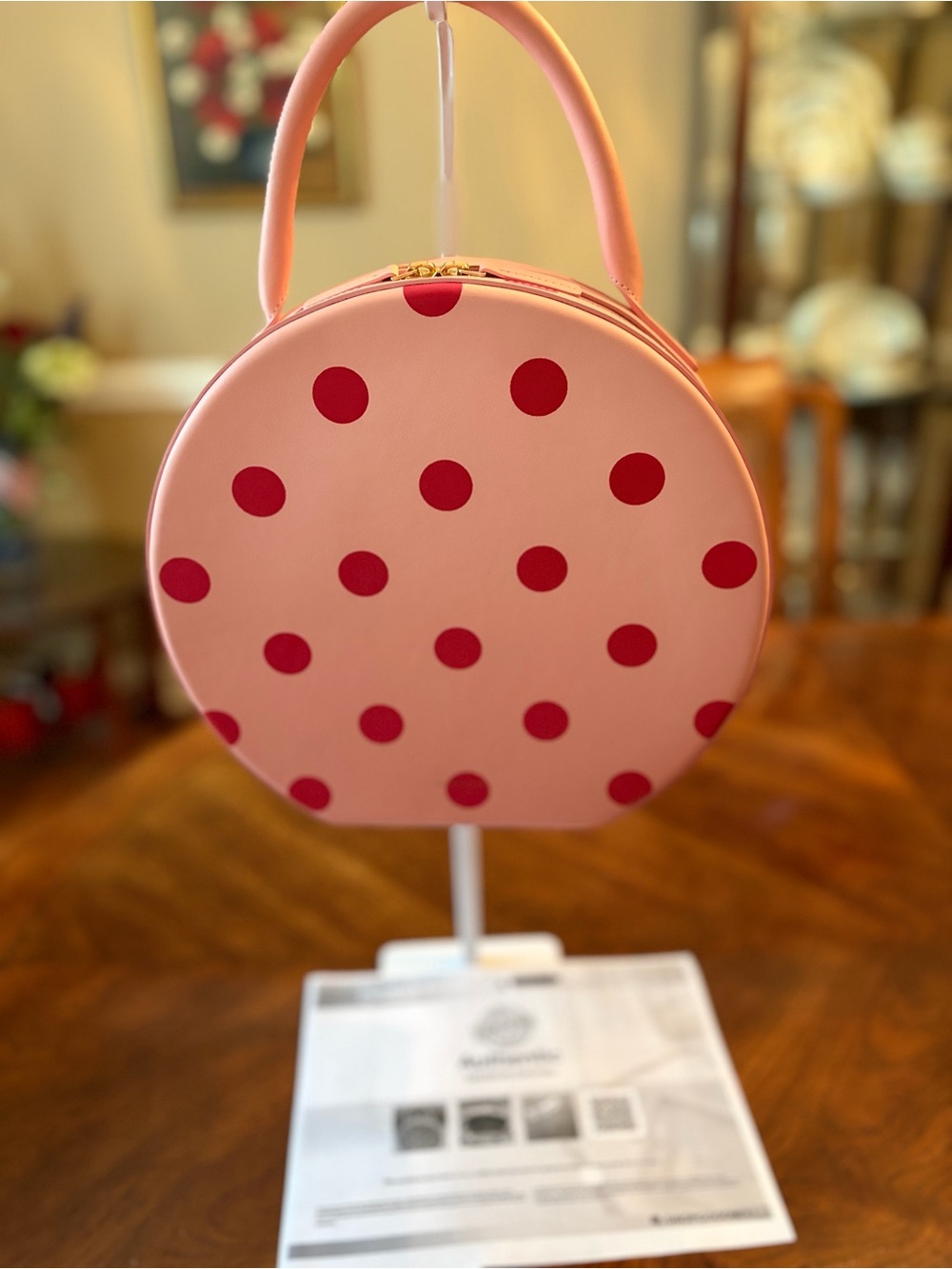 Darling Mansur Gavriel Polka Dot Circle Bag Authentication Paper, Like New IYKYK